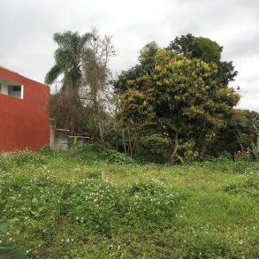 Venta de Terreno sobre Av. 1