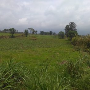 Venta de Terreno en Guadalupe Barreal