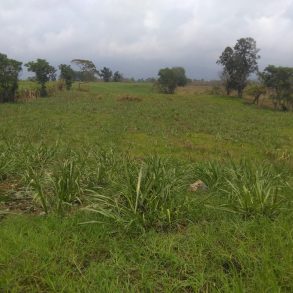 Venta de Terreno en Guadalupe Barreal