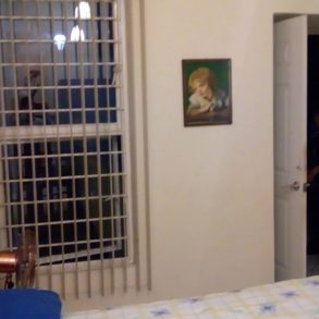 Renta de Departamento Amueblado sobre Avevida 2