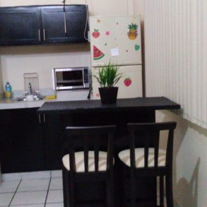Renta de Departamento Amueblado sobre Avevida 2