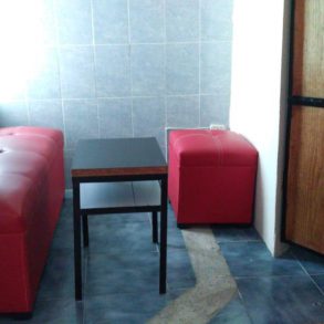 VP Renta de Departamentos Amueblados en San Roman