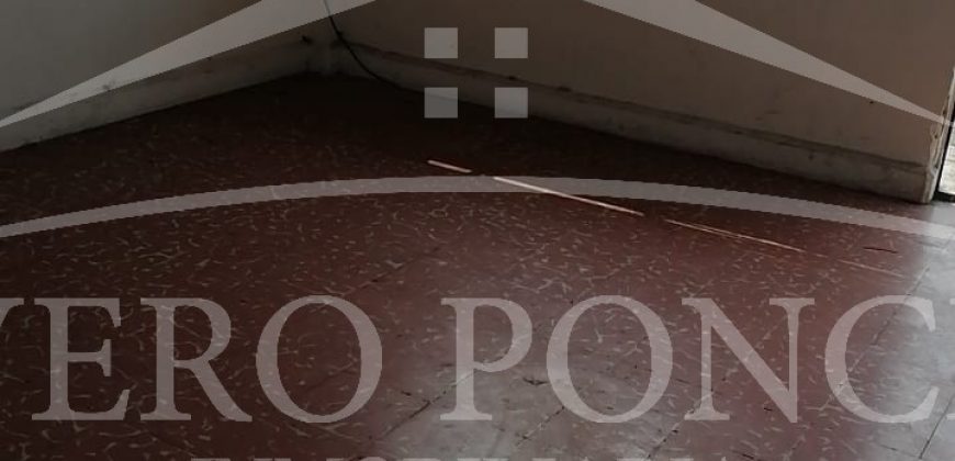 (Rentado) Colonia Centro / Departamento en Renta (20-50)