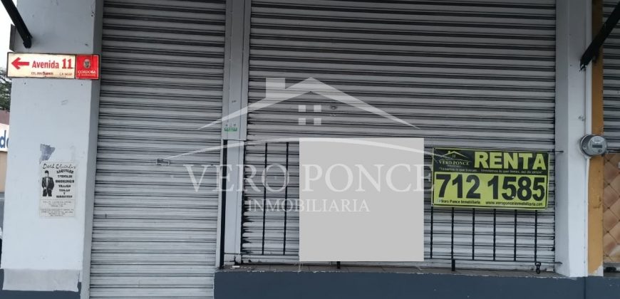 (Rentado) Avenida 11 / Frente McDonalds / Local en Renta (20-96)