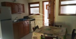 (Rentado) San José / Departamento Amueblado en Renta (20-119)