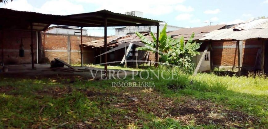 (Rentada) Calle 12 Avenida 15 / Terreno en Renta (20-144)