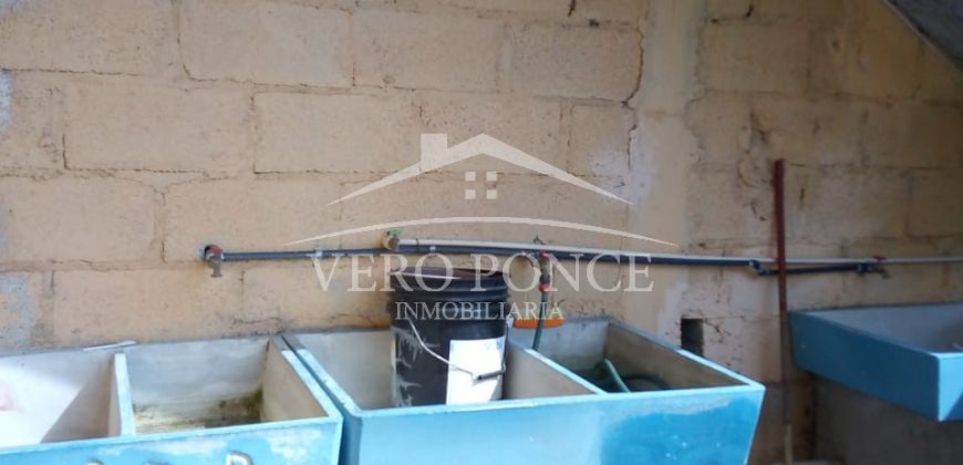 (Rentado) Tranca de Tubos / Departamento en Renta (20-249)