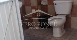 (Rentado) Calle 8 / Locales en Renta (20-298)