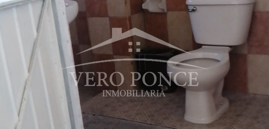 (Rentado) Calle 8 / Locales en Renta (20-298)