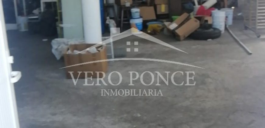 (Rentado) Calle 8 / Locales en Renta (20-298)