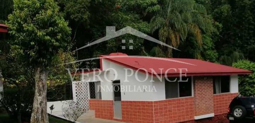 (Rentado) Zona Raquet Club / Departamento Amueblado en Renta (20-416)