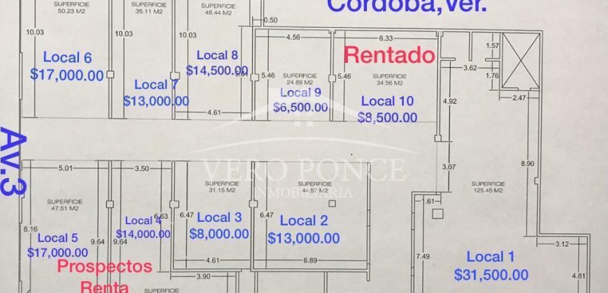 (Rentado) Plaza Central T / Locales en Renta (20-451)