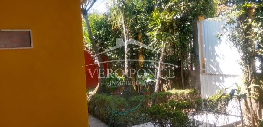 (Rentada) San Nicolás / Casa en Renta (20-491)