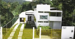 Los Mangos / Edificio en Venta (20-516)