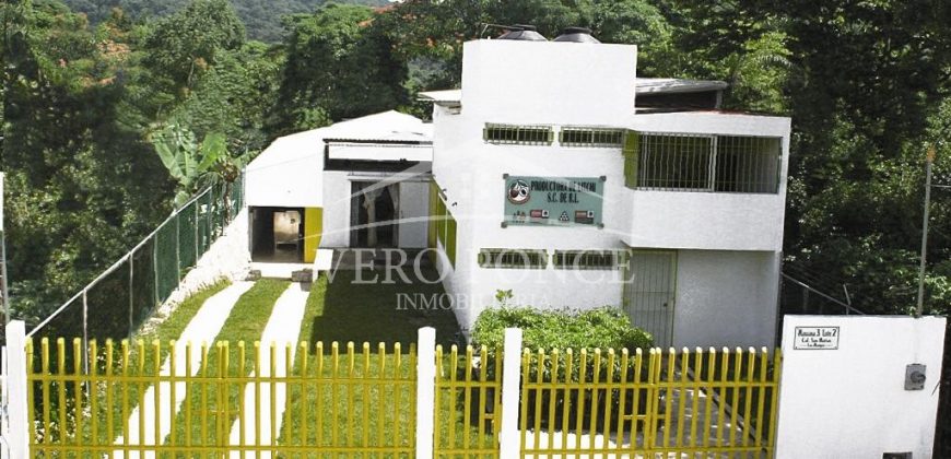 Los Mangos / Edificio en Venta (20-516)