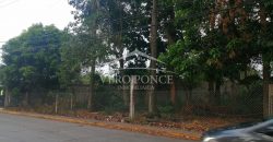 Calle 9 / 1196 m2 / Terreno en Venta (20-572)