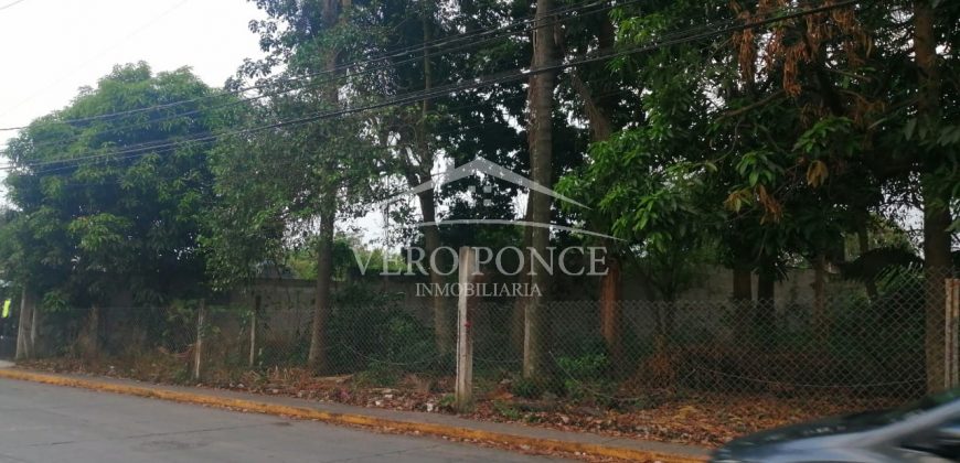 Calle 9 / 1196 m2 / Terreno en Venta (20-572)