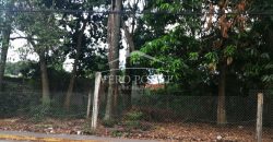 Calle 9 / 1196 m2 / Terreno en Venta (20-572)