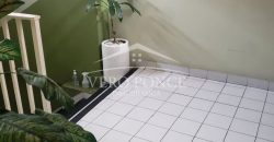 (Rentado) Avenida 2 / Departamento en Renta (20-603b)