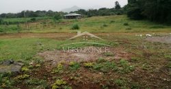 Unidad de las Flores / 4936 m2 / Terreno en Venta (20-666)