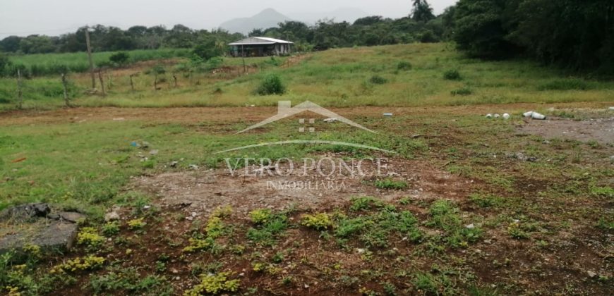 Unidad de las Flores / 4936 m2 / Terreno en Venta (20-666)