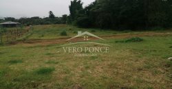 Unidad de las Flores / 4936 m2 / Terreno en Venta (20-666)