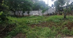 Colonia Paraíso / 285 m2 / Terreno en Venta (20-690a)