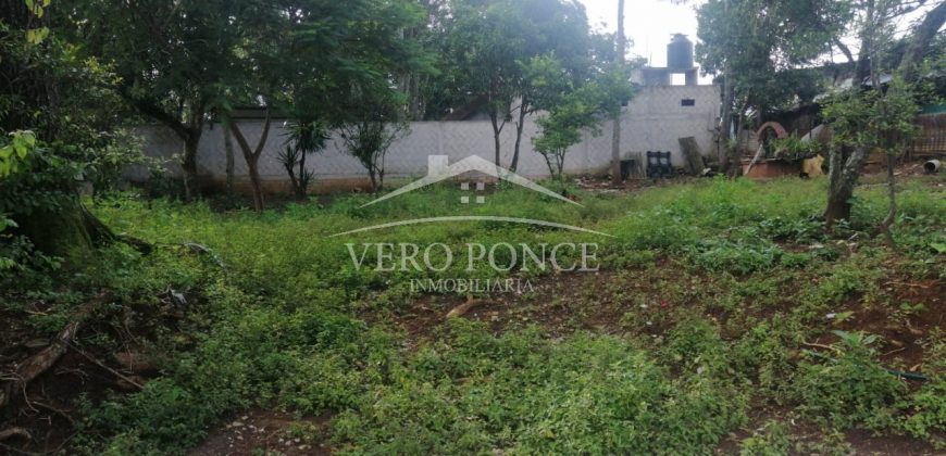 Colonia Paraíso / 285 m2 / Terreno en Venta (20-690a)