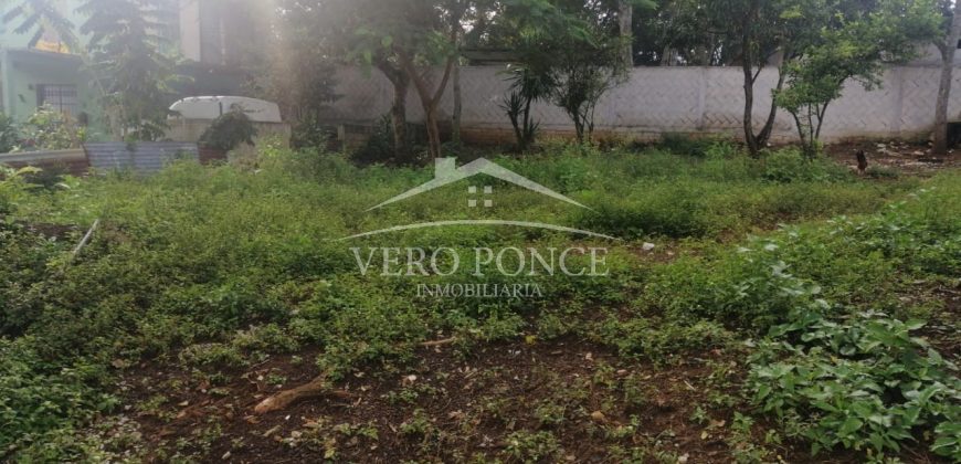 Colonia Paraíso / 285 m2 / Terreno en Venta (20-690a)