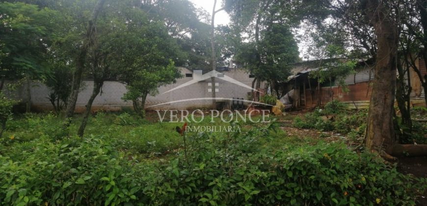 Colonia Paraíso / 303.84 m2 / Terreno en Venta (20-690b)