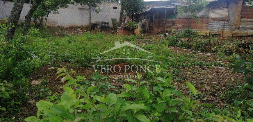 Colonia Paraíso / 303.84 m2 / Terreno en Venta (20-690b)