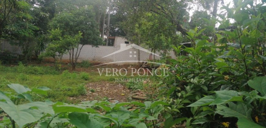 Colonia Paraíso / 303.84 m2 / Terreno en Venta (20-690b)