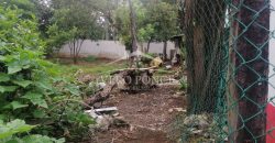 Colonia Paraíso / 303.84 m2 / Terreno en Venta (20-690b)