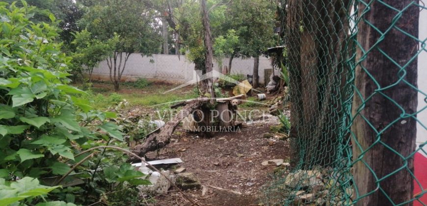 Colonia Paraíso / 303.84 m2 / Terreno en Venta (20-690b)