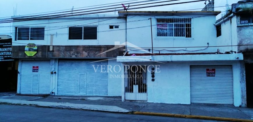 (Rentado) Avenida 11 / Departamentos en Renta (20-699)