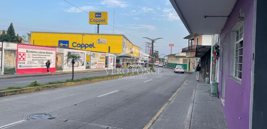 (Rentado) Avenida 11 / 50 m2 / Local en Renta (2207-109)