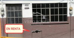 (Rentado) Calle 10 Avenida 2 / Departamento en Renta (2210-123)