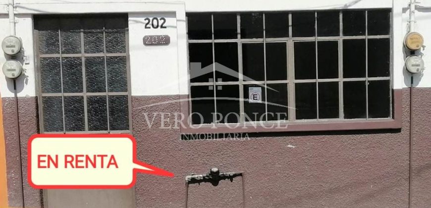 (Rentado) Calle 10 Avenida 2 / Departamento en Renta (2210-123)