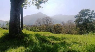 Orizaba, Veracruz / Colonia Agrícola Librado / 1750 m2 / Terreno en Venta (2210-131) Orizaba, Veracruz / Colonia Agrícola Librado / 1750 m2 / Terreno en Venta (2210-131)