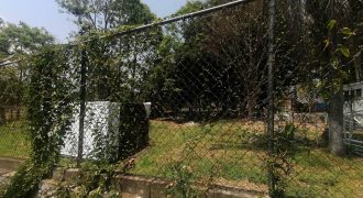Huatusco Centro / 4000 m2 / Terreno en Venta (2210-164) Huatusco Centro / 4000 m2 / Terreno en Venta (2210-164)