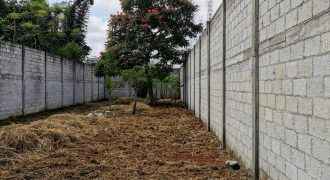 Amatlán, Veracruz / 500 m2 / Terreno en Venta (2201-190) Amatlán, Veracruz / 500 m2 / Terreno en Venta (2201-190)