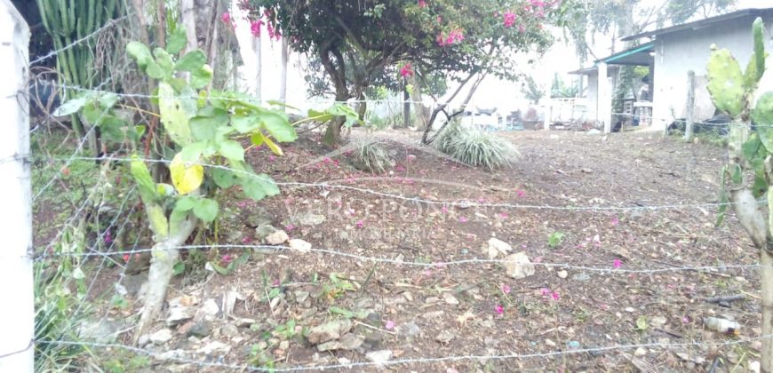 Fraccionamiento Las Cañas / 350 m2 / Terreno en Venta (2210-504)