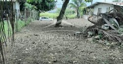 Fraccionamiento Las Cañas / 350 m2 / Terreno en Venta (2210-504)