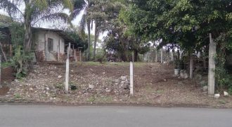 Fraccionamiento Las Cañas / 350 m2 / Terreno en Venta (2210-504) Fraccionamiento Las Cañas / 350 m2 / Terreno en Venta (2210-504)