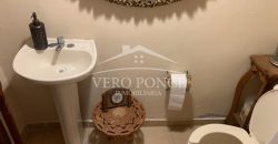 (Rentada) San Nicolás / Casa en Renta (2201-513)