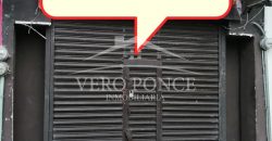 (Rentado) Colonia Centro / Local en Renta (2210-526)