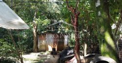 Colonia Paraíso / 224 m2 / Terreno en Venta (2202-559)