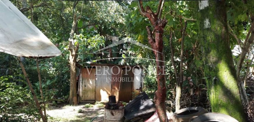 Colonia Paraíso / 224 m2 / Terreno en Venta (2202-559)