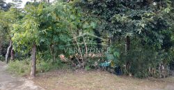 Colonia Paraíso / 224 m2 / Terreno en Venta (2202-559)