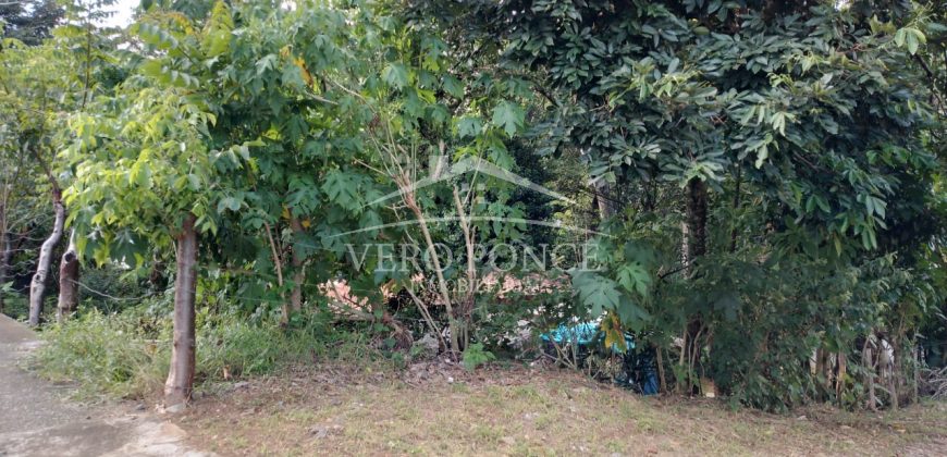 Colonia Paraíso / 224 m2 / Terreno en Venta (2202-559)